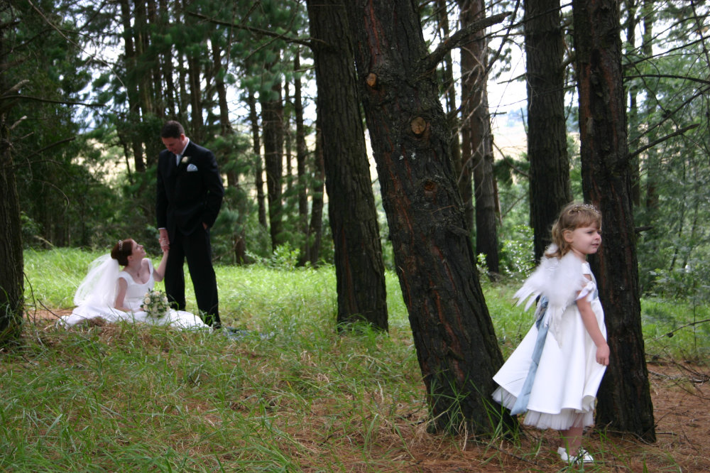 Wedding
